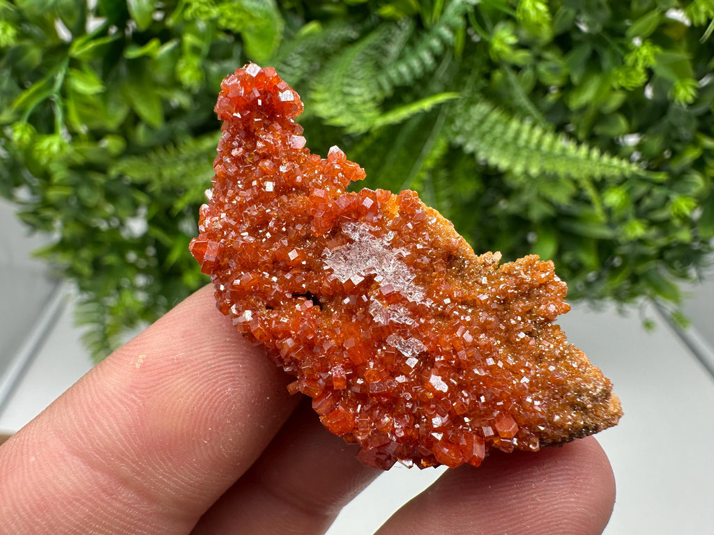 Red Vanadinite on Barite from Marocco,crystal minerals Speciment cluster Vanadinite crystal Vanadinite Geology Vanadinite cluster minerals