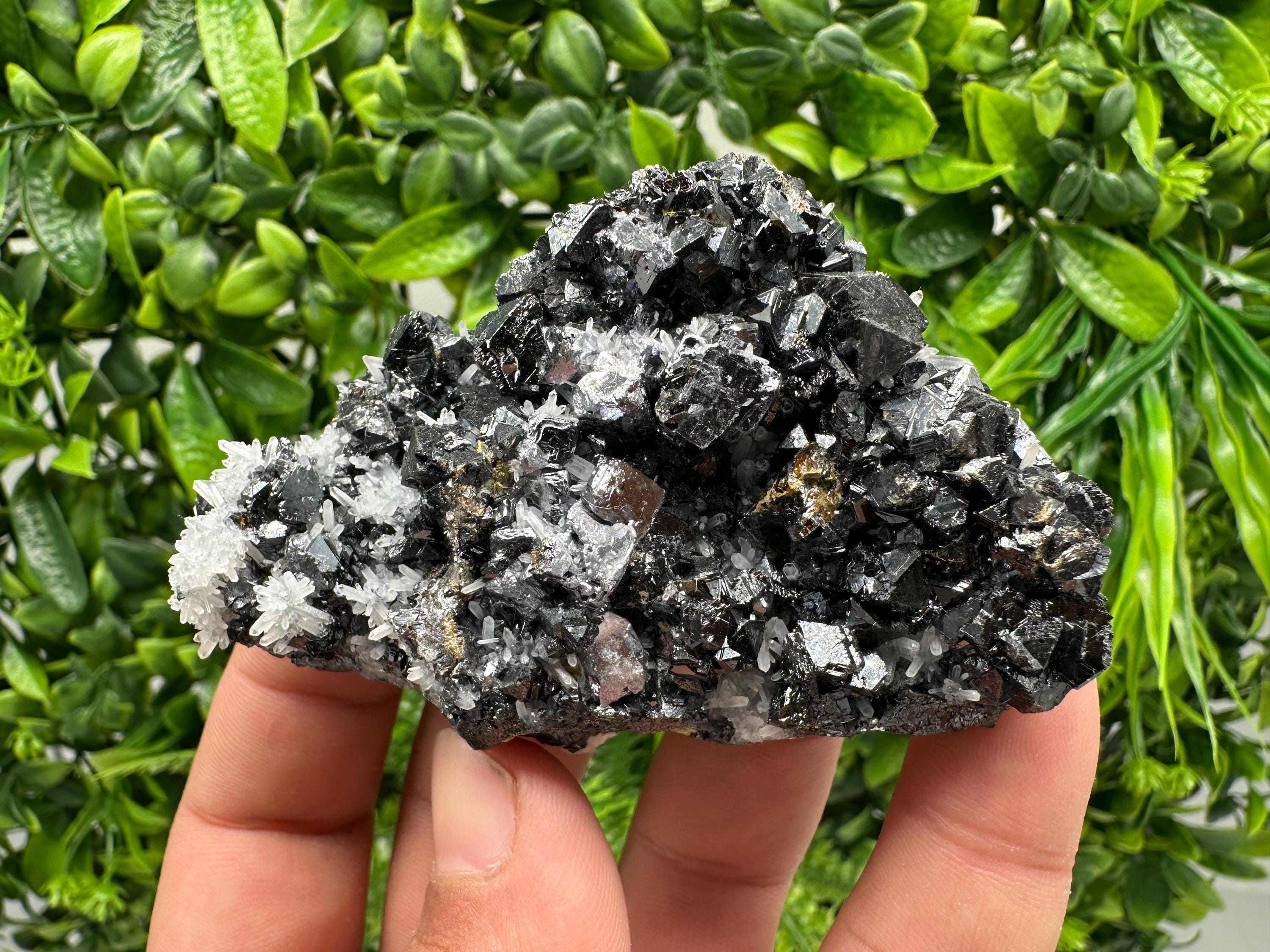 Wonderful Sphalerite on Quartz,From Borieva mine,Bulgaria,natural mineral,collection crystal,home decor stone,rare cluster,gift,souvenir