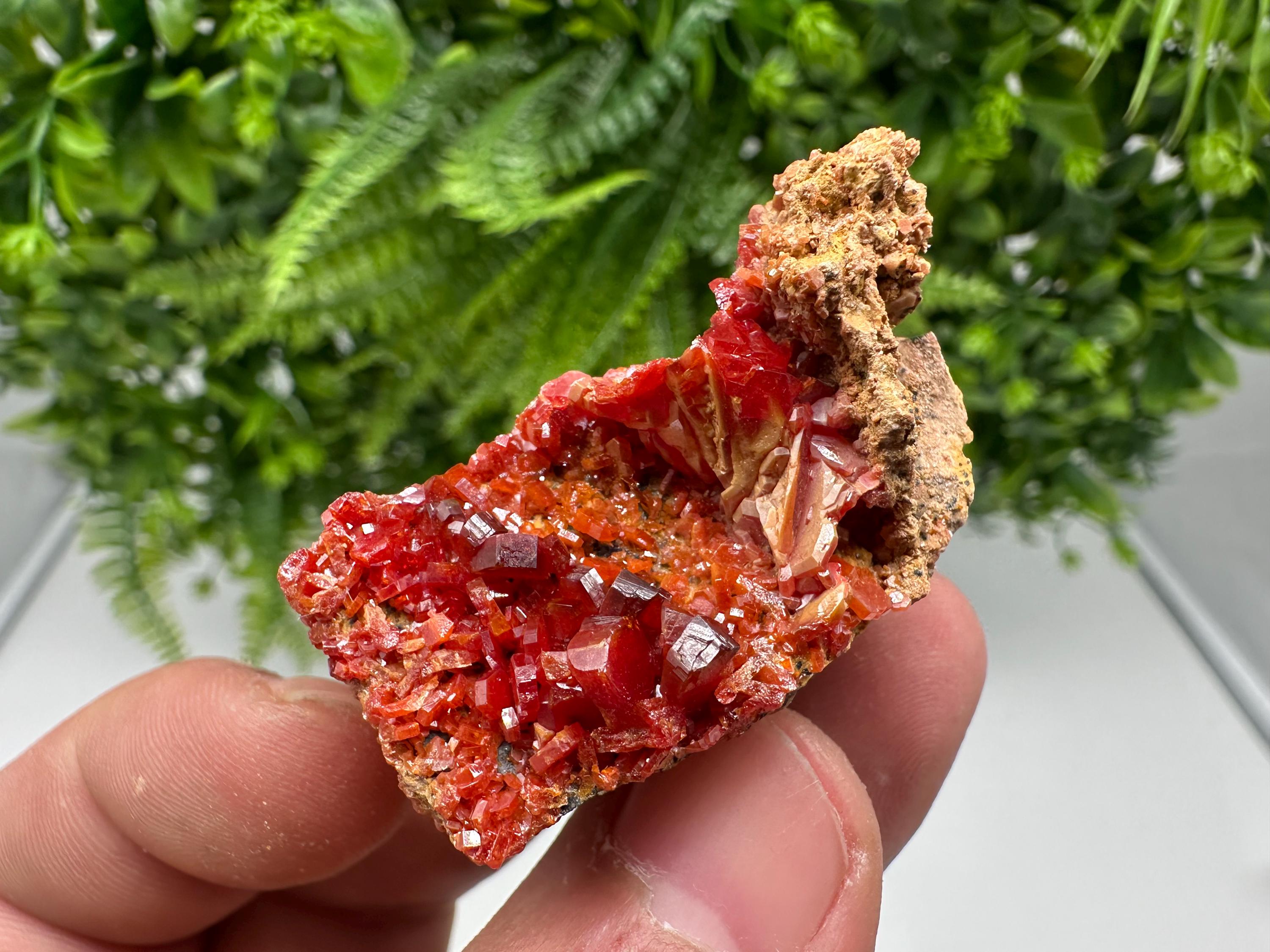 Red Vanadinite on Barite from Marocco,crystal minerals Speciment cluster Vanadinite crystal Vanadinite Geology Vanadinite cluster minerals