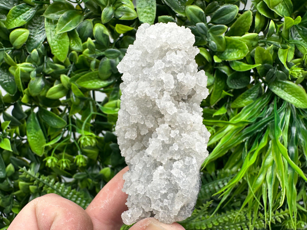 Natural Chalcedony Specimen: India Crystal Mineral Collection