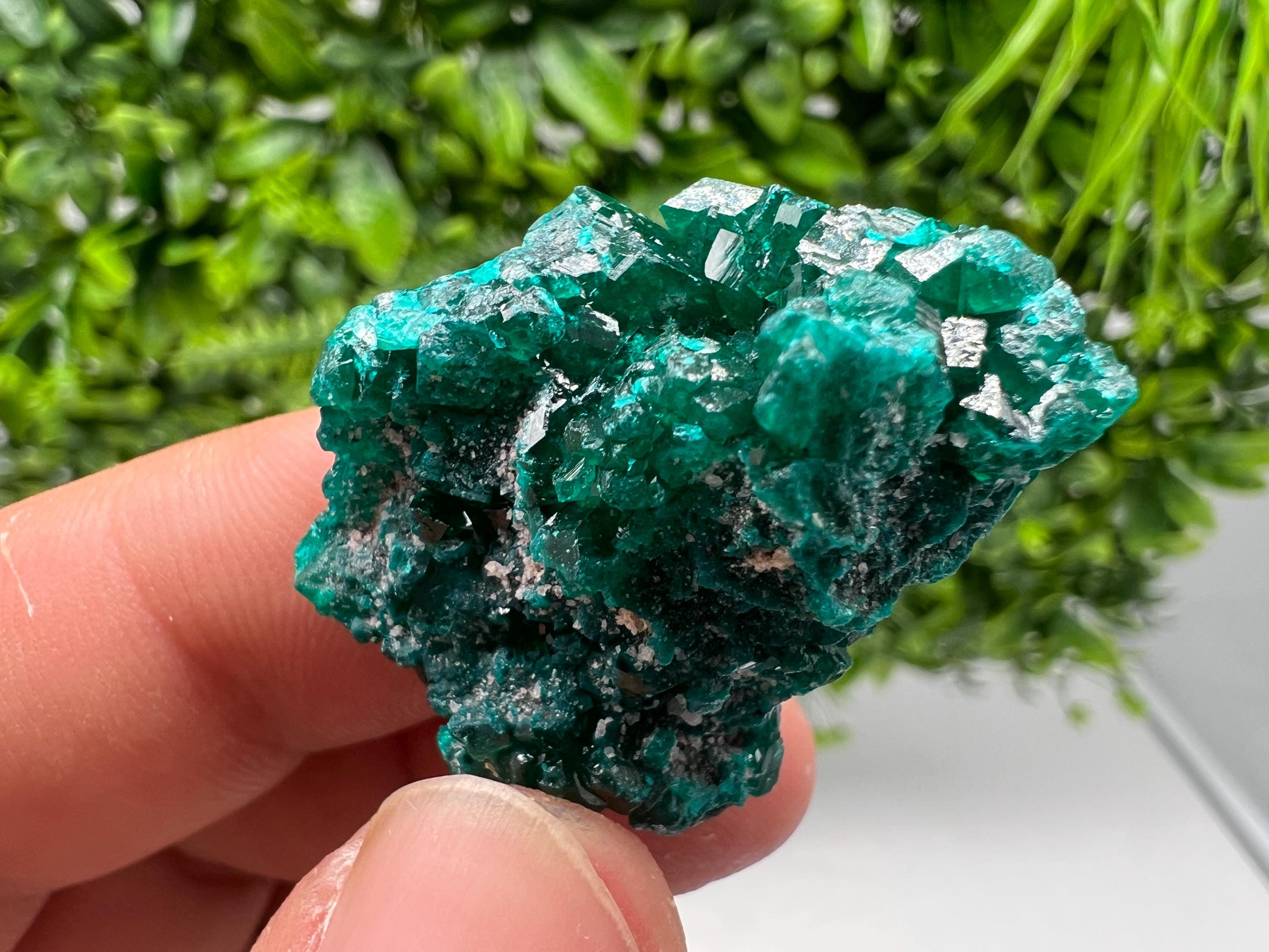 Stunning Green Dioptase from Sanda Hills,Mindouli,Pool Department,Mindouli District,Congo,green Dioptase,Dioptas Crystal,Dioptase collecting
