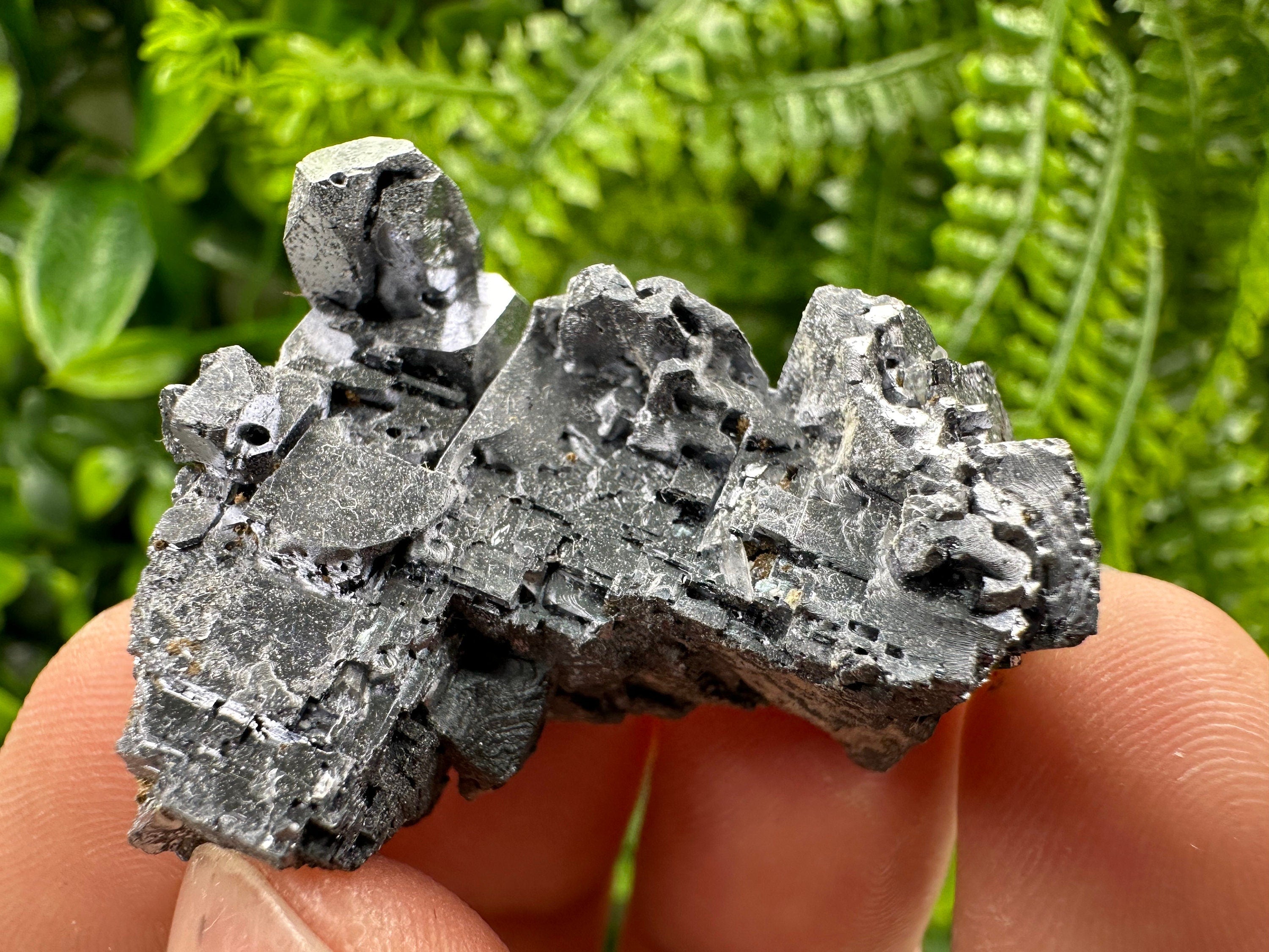 Skeleton Galena Cluster, Rare Morphology Crystal, 9th September Mine Bulgaria
