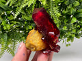 XXL Lab-Grown Pruskite Ruby Crystal on Matrix