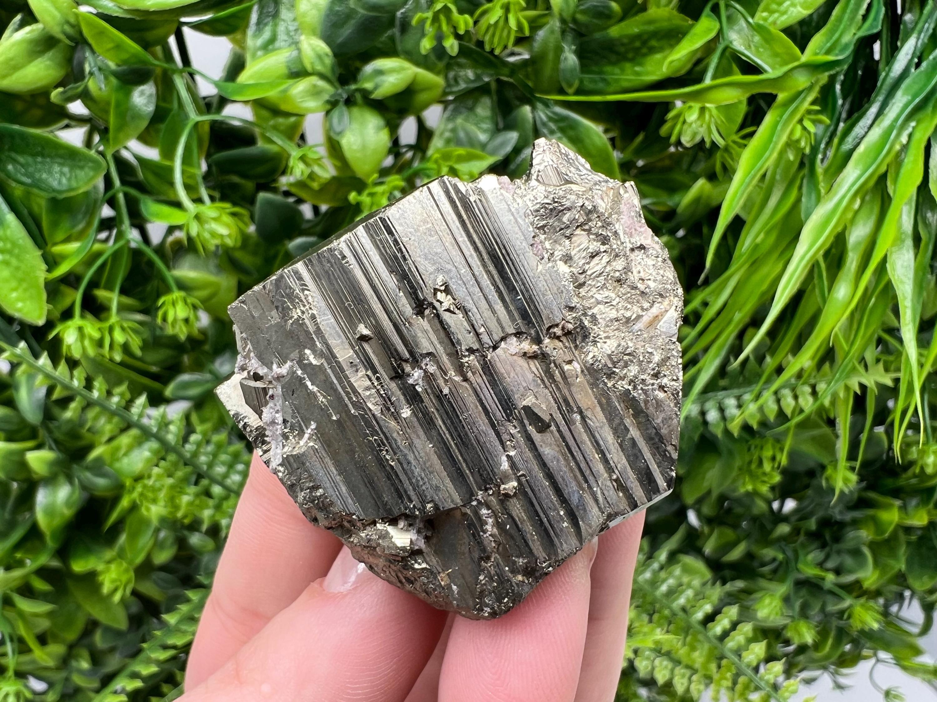 Shiny Pyrite Cluster, Borieva Mine, Bulgaria, Crystal Specimen