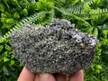 Galena on Pyrite Specimen: Borieva Mine, Bulgaria
