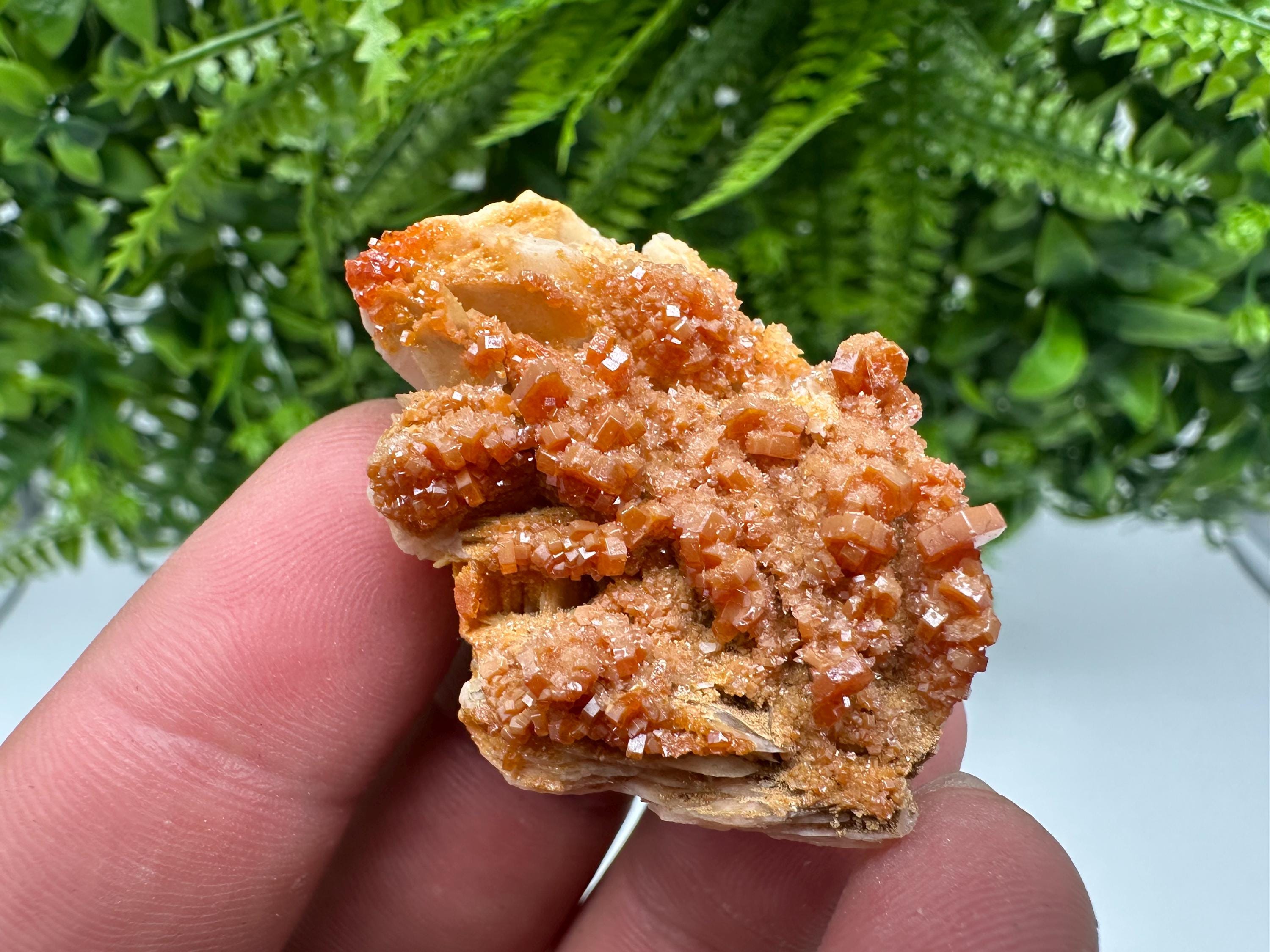 Red Vanadinite on Barite Specimen, Morocco Crystal Cluster