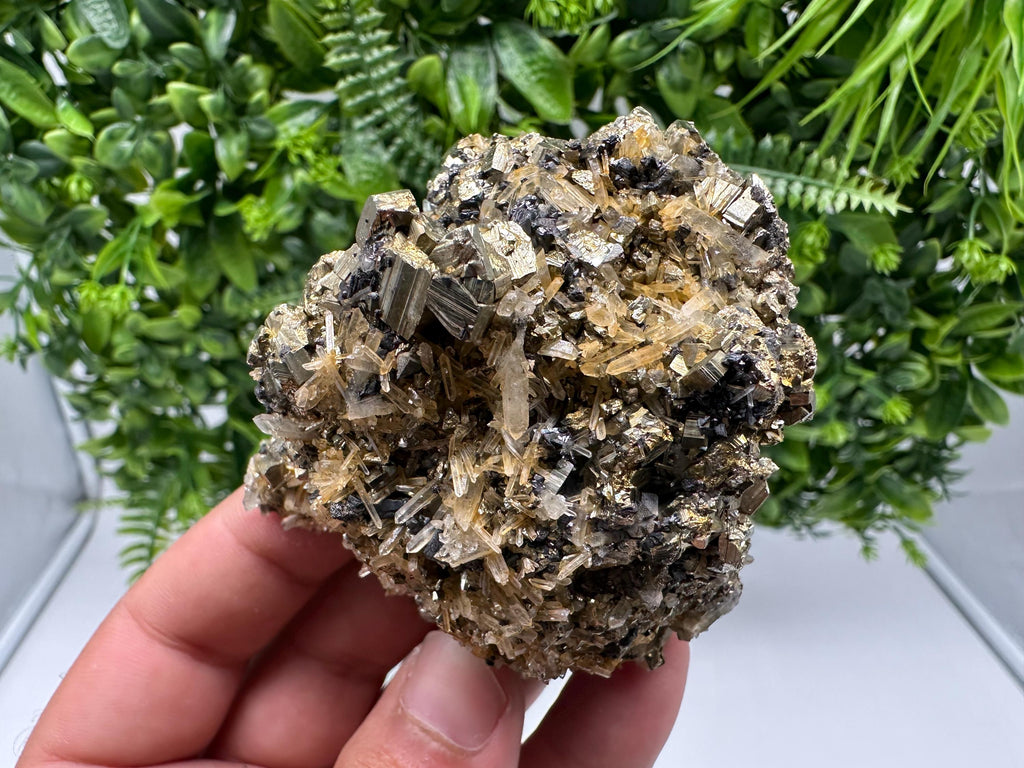 Rainbow Pyrite on Quartz with Oxide, Borieva Bulgaria