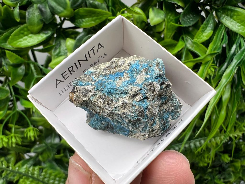 Rare Raw Aerinite Specimen: Mineral Collection Crystal from Spain