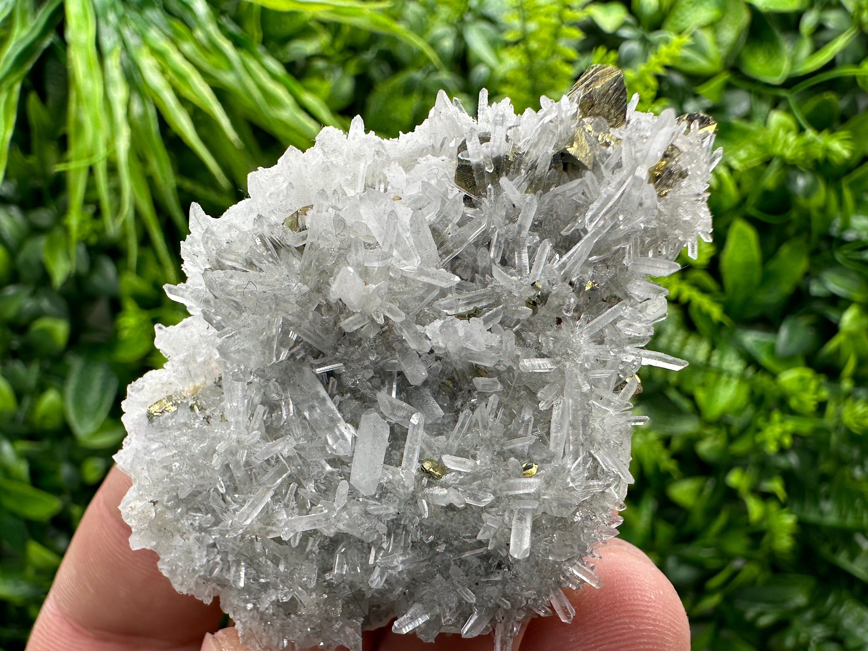 Chalcopyrite on Quartz Crystal: Borieva Mine, Bulgaria