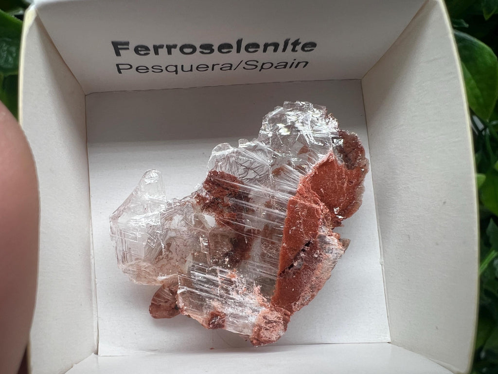 Rare Ferroselenite Specimen: La Pesquera, Spain Mineral Crystal (3.3/3 cm)