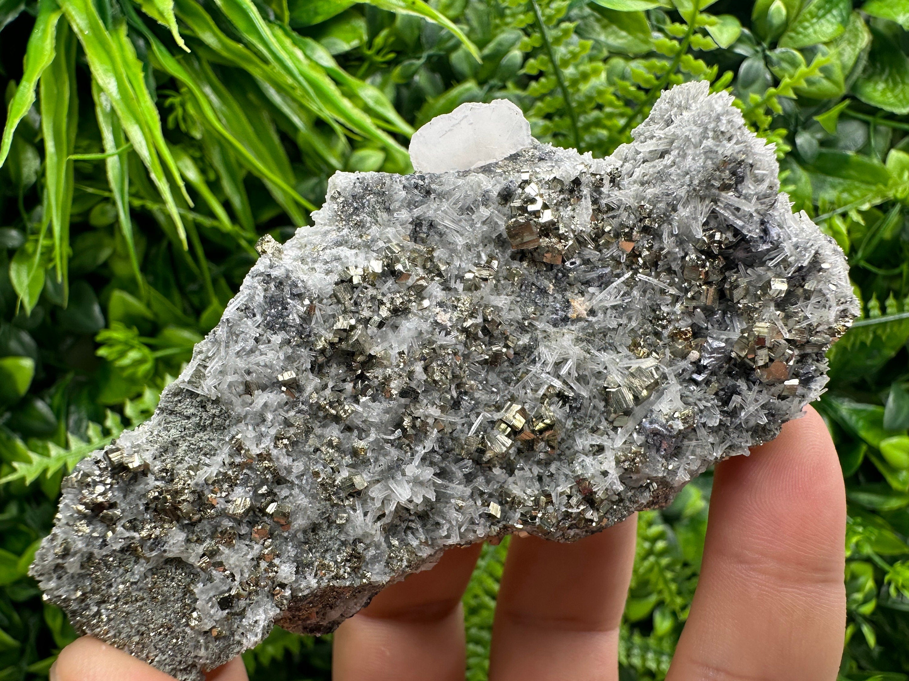Pyrite on Quartz Specimen: Borieva Mine Bulgaria, Home Decor