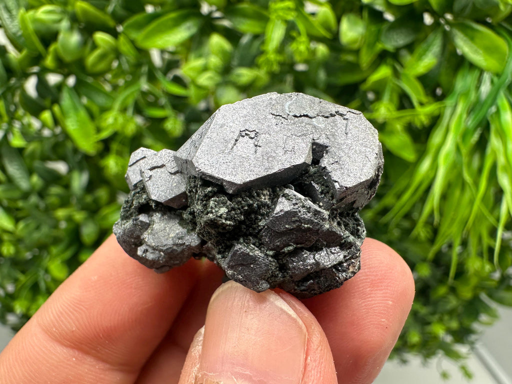Shiny Galena Cluster - Borieva Mine, Bulgaria