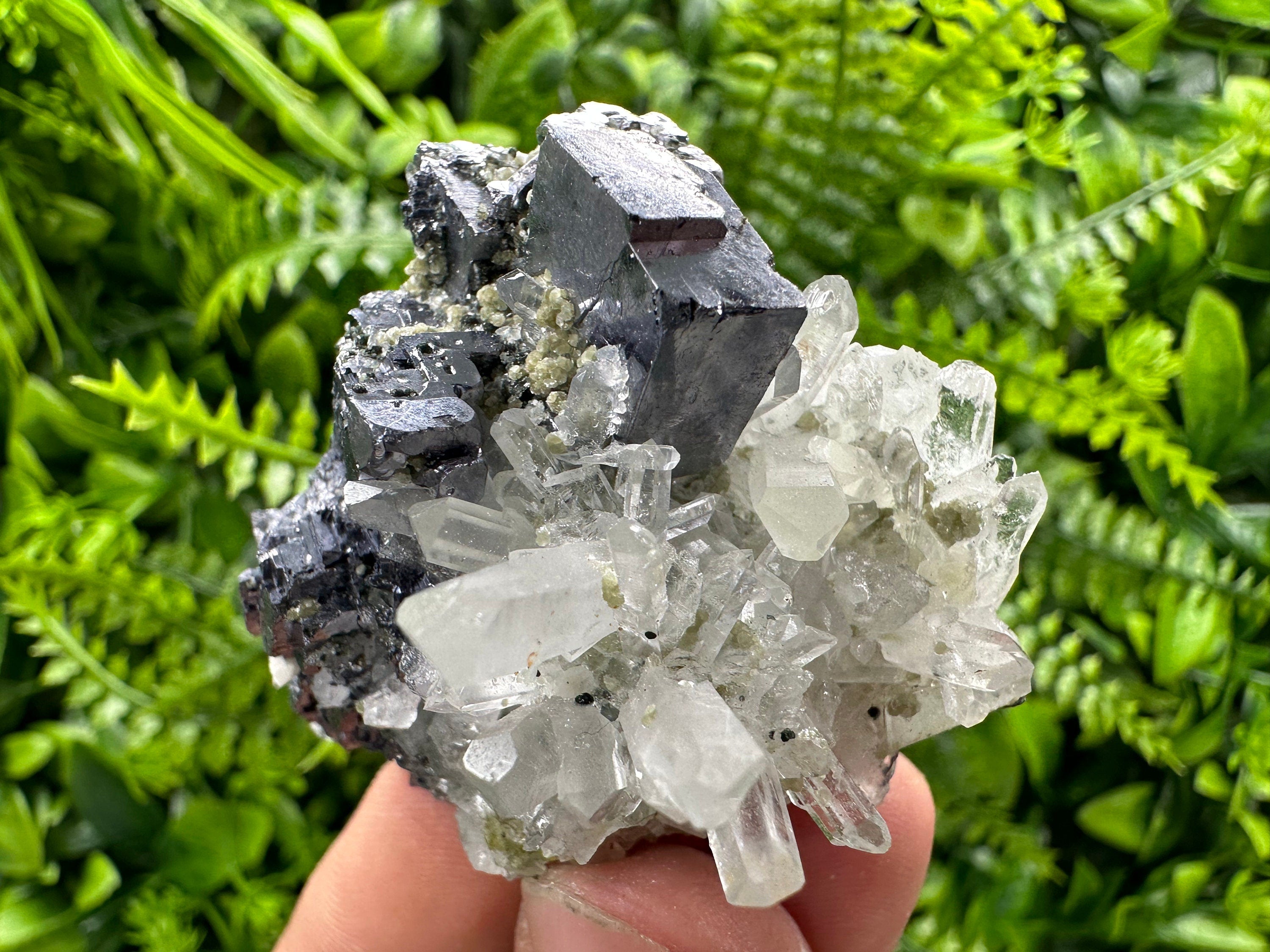 Galena on Quartz: Borieva Mine Crystal Souvenir