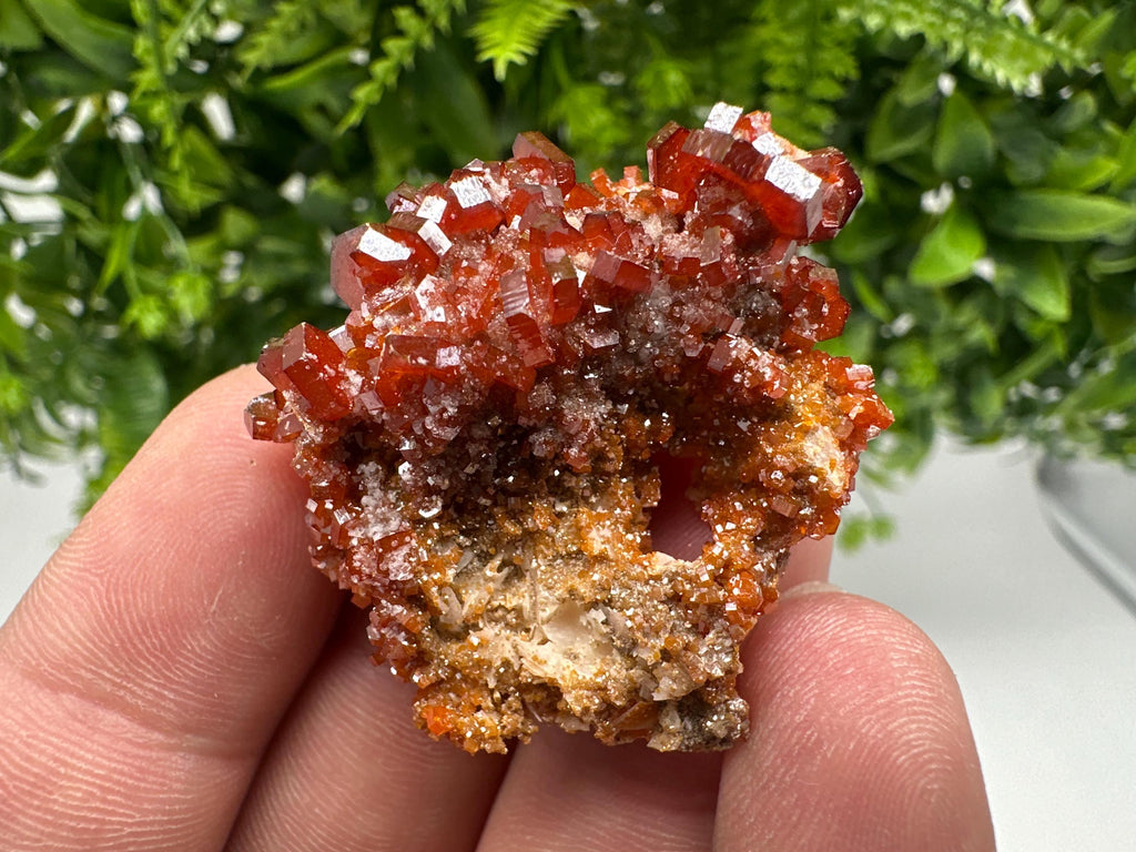 Red Vanadinite on Barite from Marocco,crystal minerals Speciment cluster Vanadinite crystal Vanadinite Geology Vanadinite cluster minerals