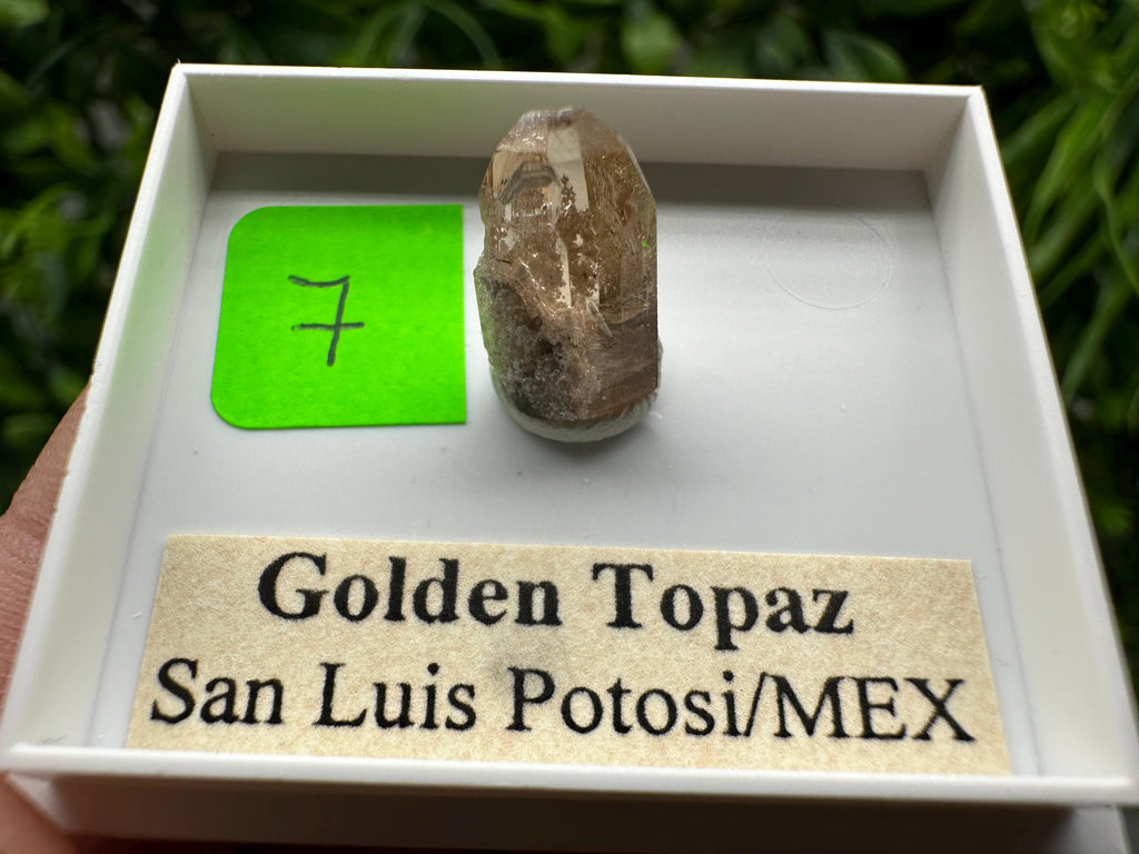 Golden Topaz Crystal, Mineral Specimen from Mexico