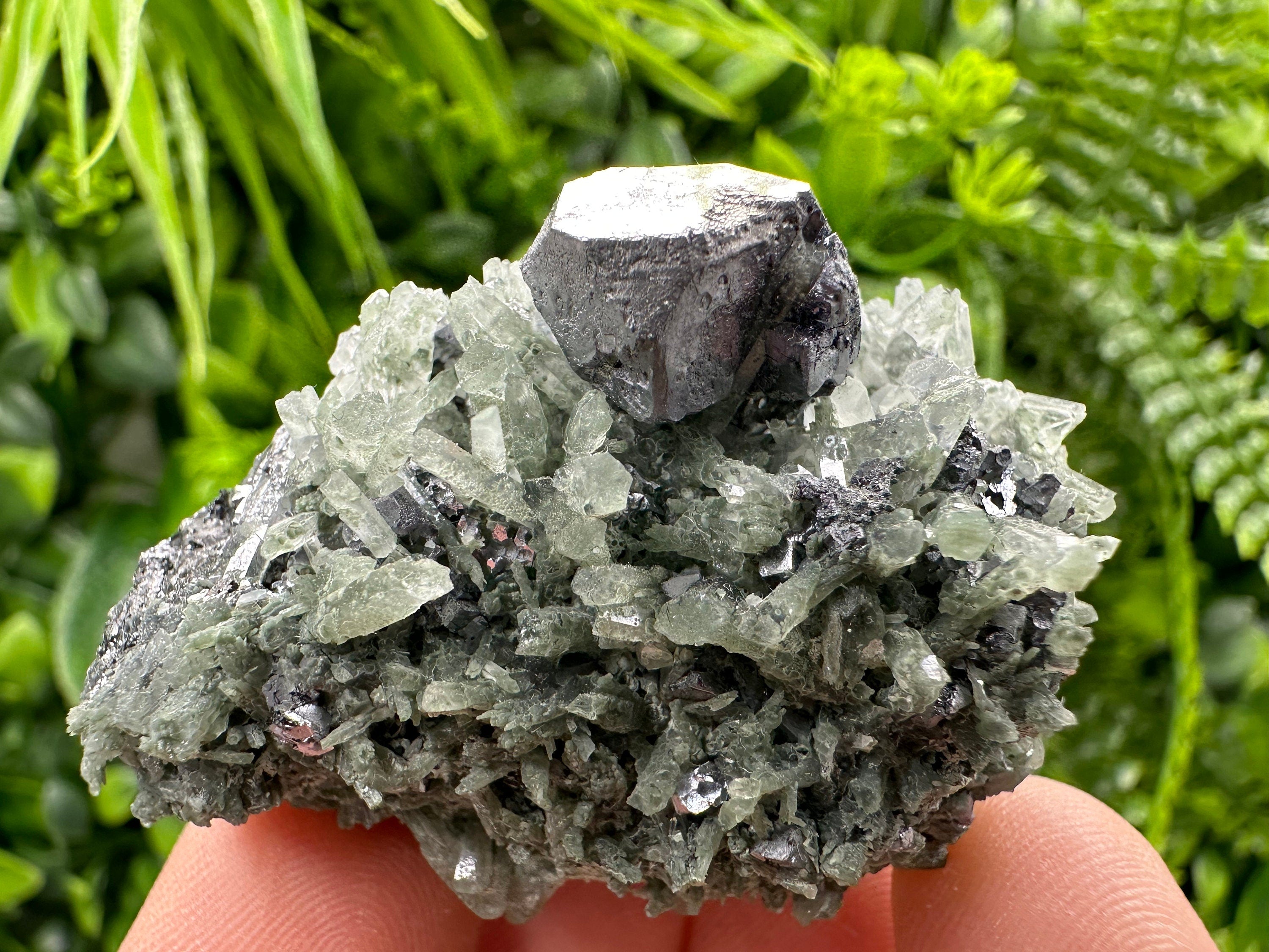 Galena on Green Quartz, Borieva Mine Mineral Specimen