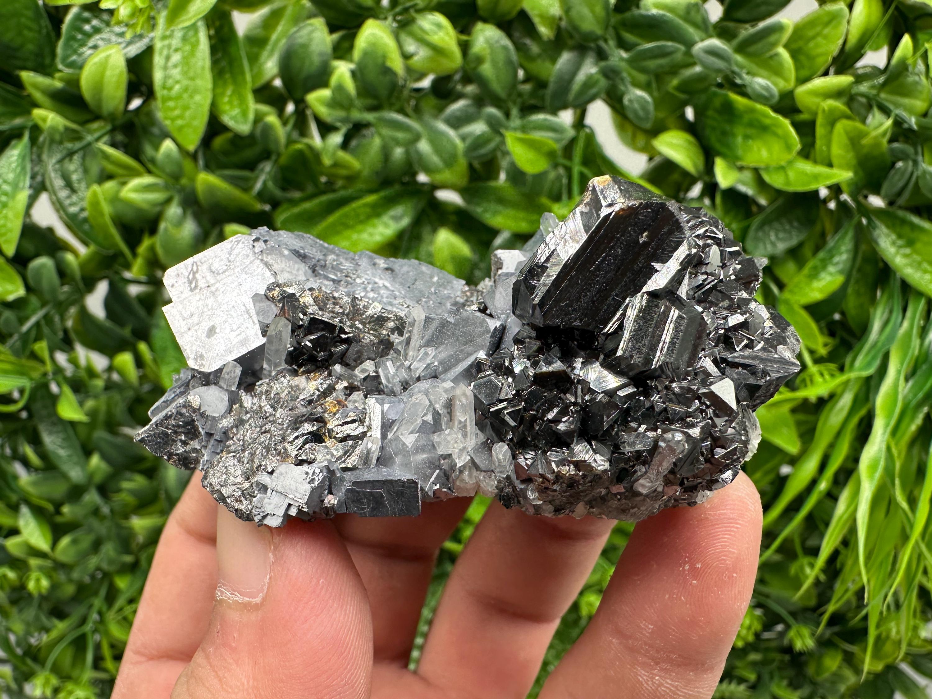 Galena on Sphalerite Mineral Specimen, Borieva Mine Bulgaria