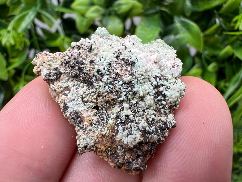Rare Green/Yellow Pyromorphite and Hematite,on Quartz,from Bulgaria,Madjarovo mine, Natural Mineral ,Healing stone ,top collection,rock