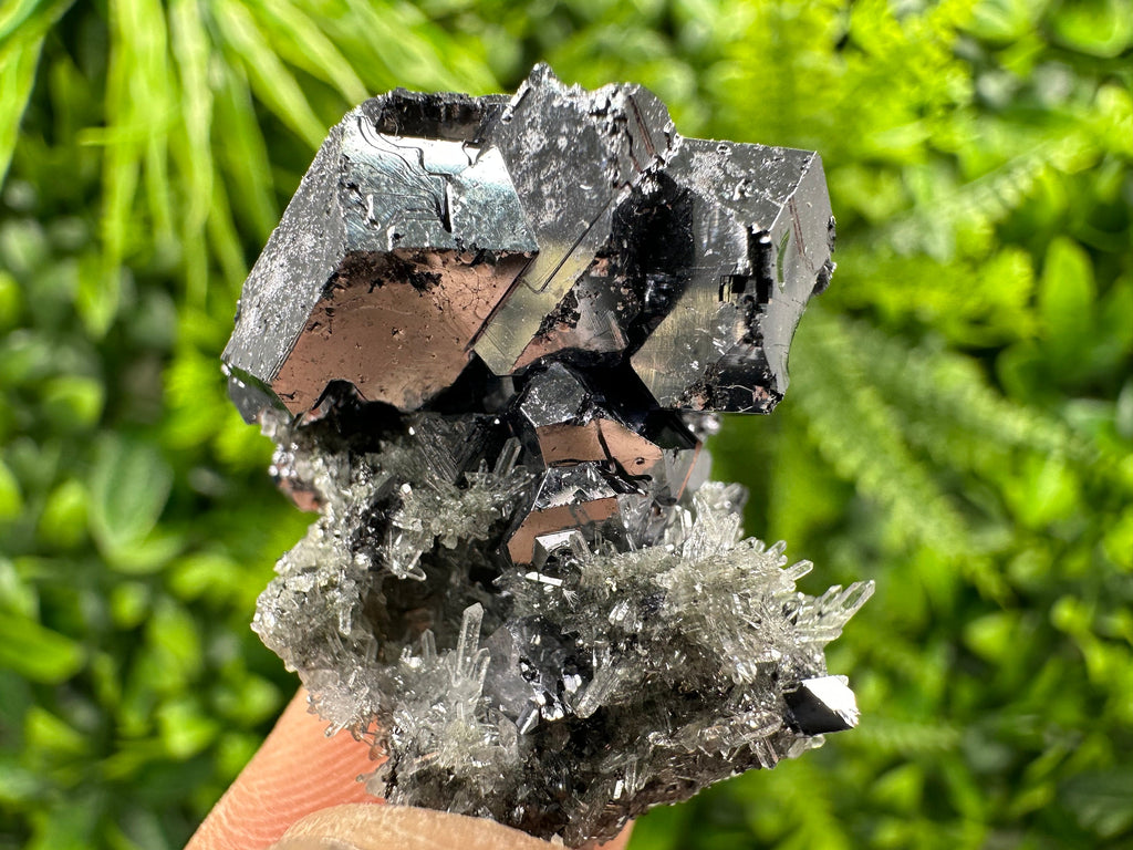 Galena on Needle Quartz, Borieva Mine Crystal