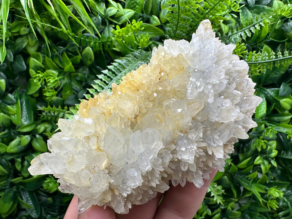 Limonite Quartz Crystal Cluster: Iron Oxide Mineral Specimen