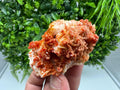 Red Vanadinite on Barite from Marocco,crystal minerals Speciment cluster Vanadinite crystal Vanadinite Geology Vanadinite cluster minerals