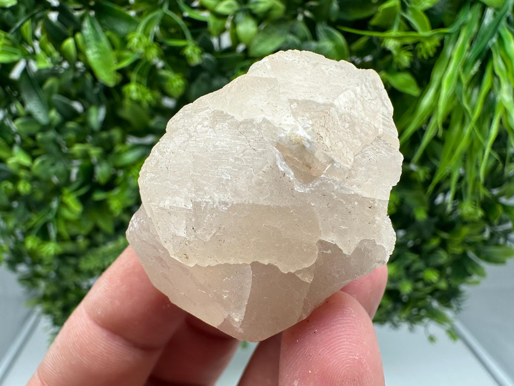 UV Mangano Calcite: Borieva Mine, Bulgaria Crystal Decor
