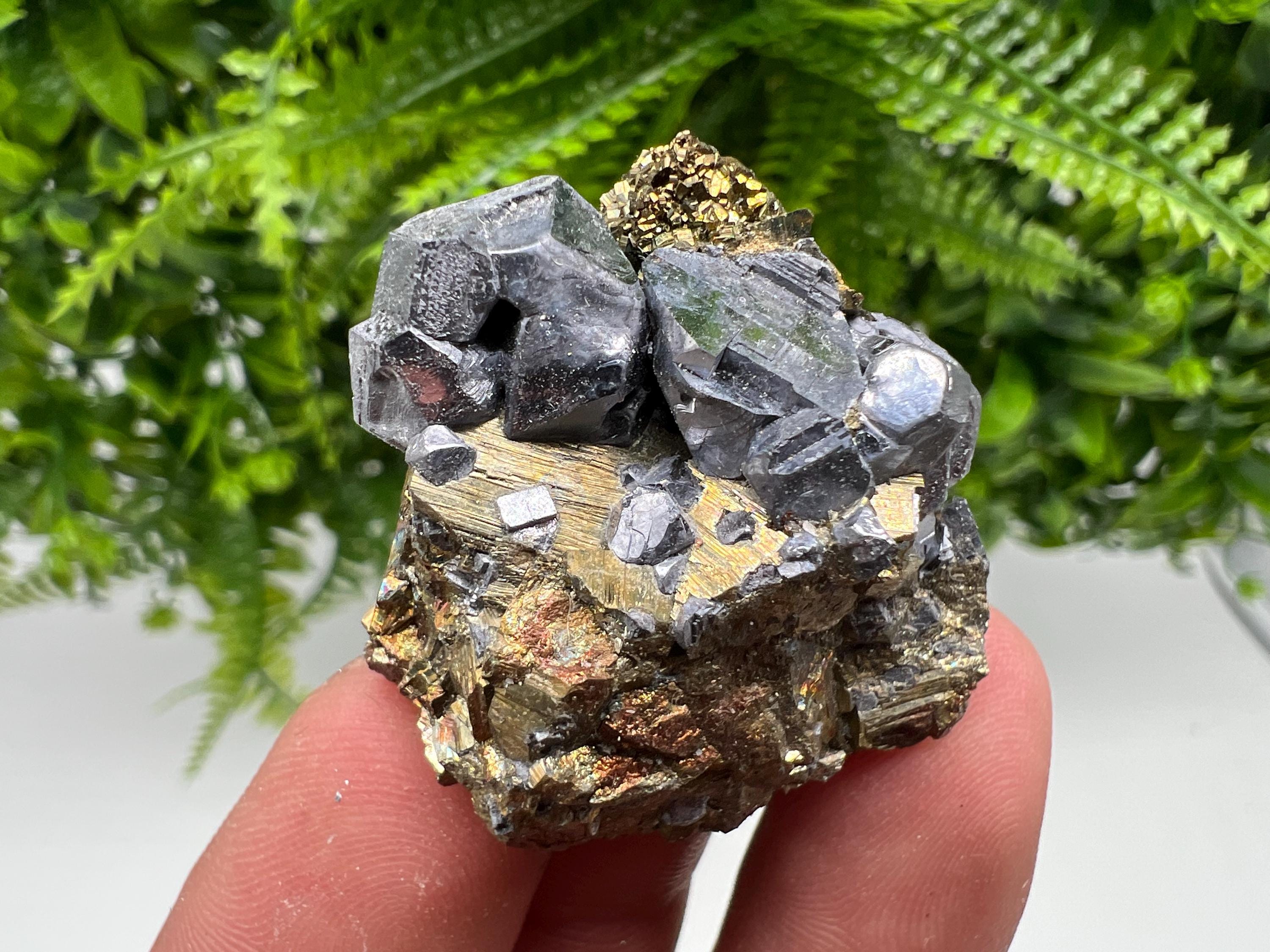 Galena on Pyrite Mineral Specimen: Borieva Mine, Bulgaria