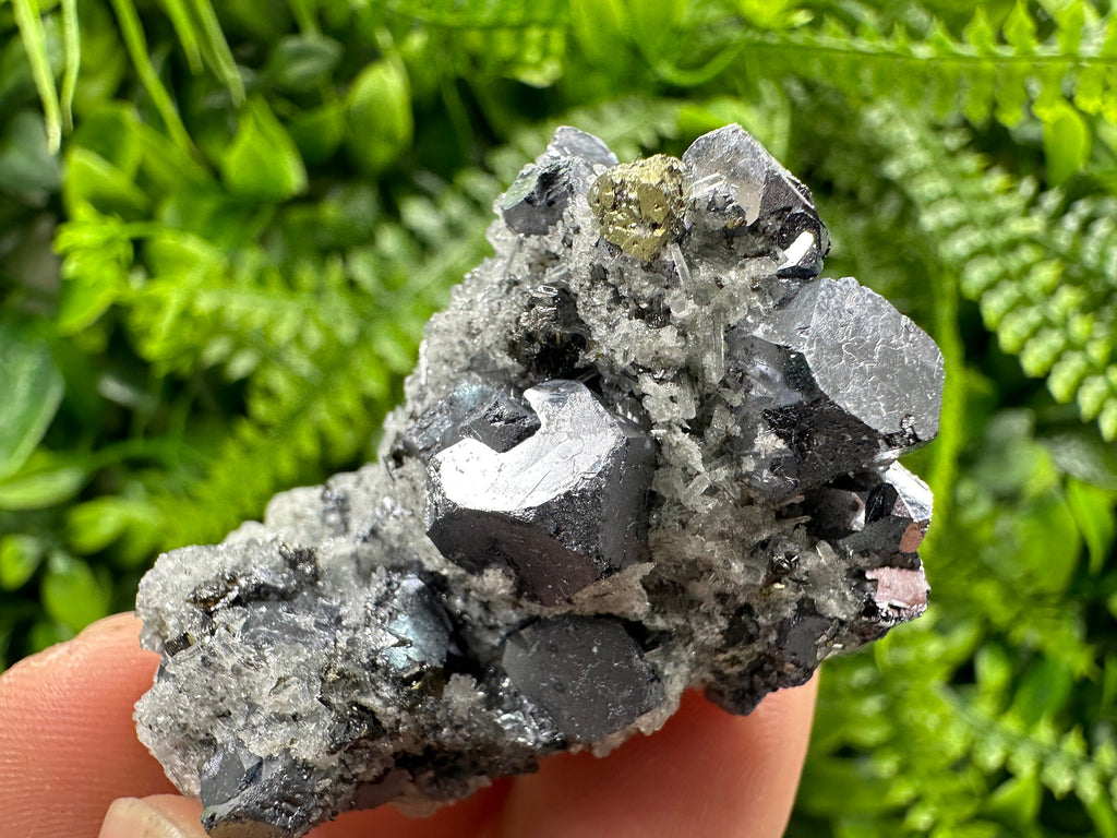Galena Chalcopyrite on Quartz, Crystal Home Decor, Borieva Mine Bulgaria