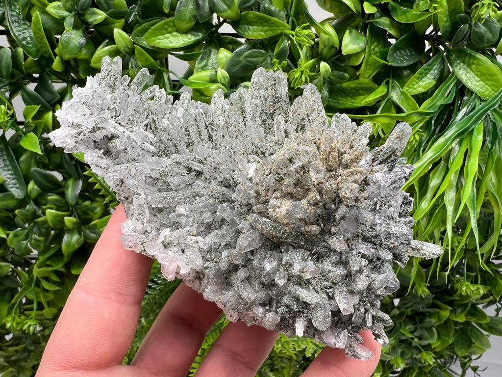 Quartz Rhodochrosite Cluster, Djurcovo Mine Mineral Specimen