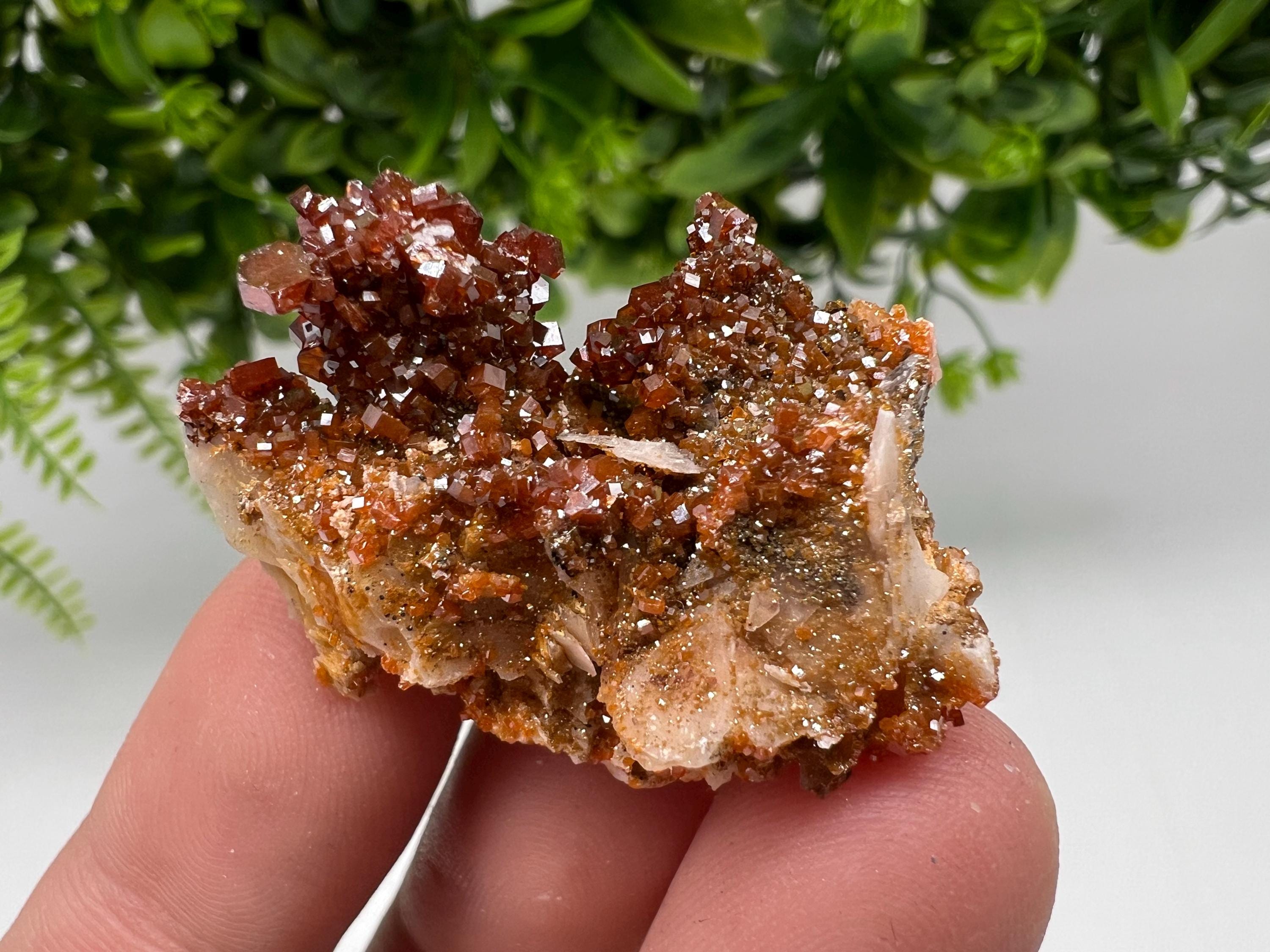 Red Vanadinite on Barite from Marocco,crystal minerals Speciment cluster Vanadinite crystal Vanadinite Geology Vanadinite cluster minerals
