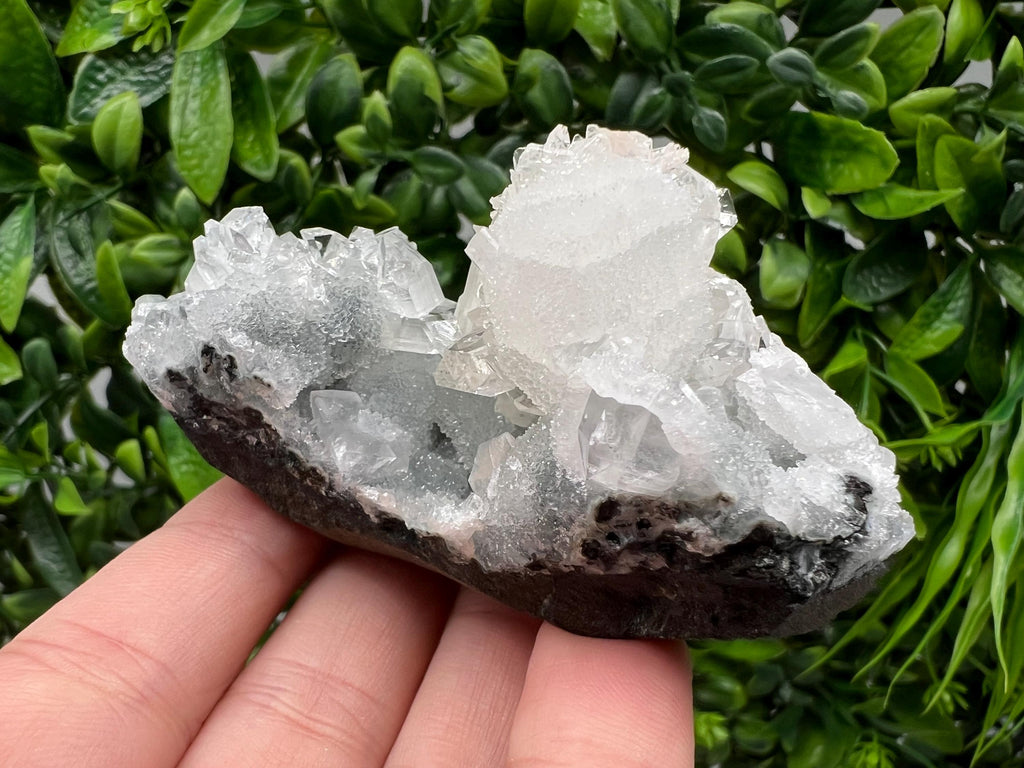 Transparent Apophyllite on Chalcedony, Natural Crystal Specimen, India Minerals