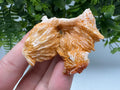 Red Vanadinite on Barite Crystal Specimen, Moroccan Mineral Cluster