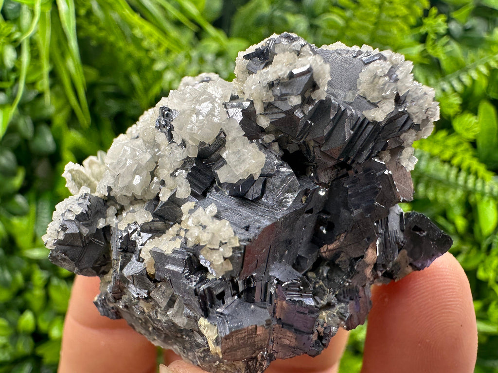 Rare Calcite on Galena: Borieva Mine, Madan, Bulgaria