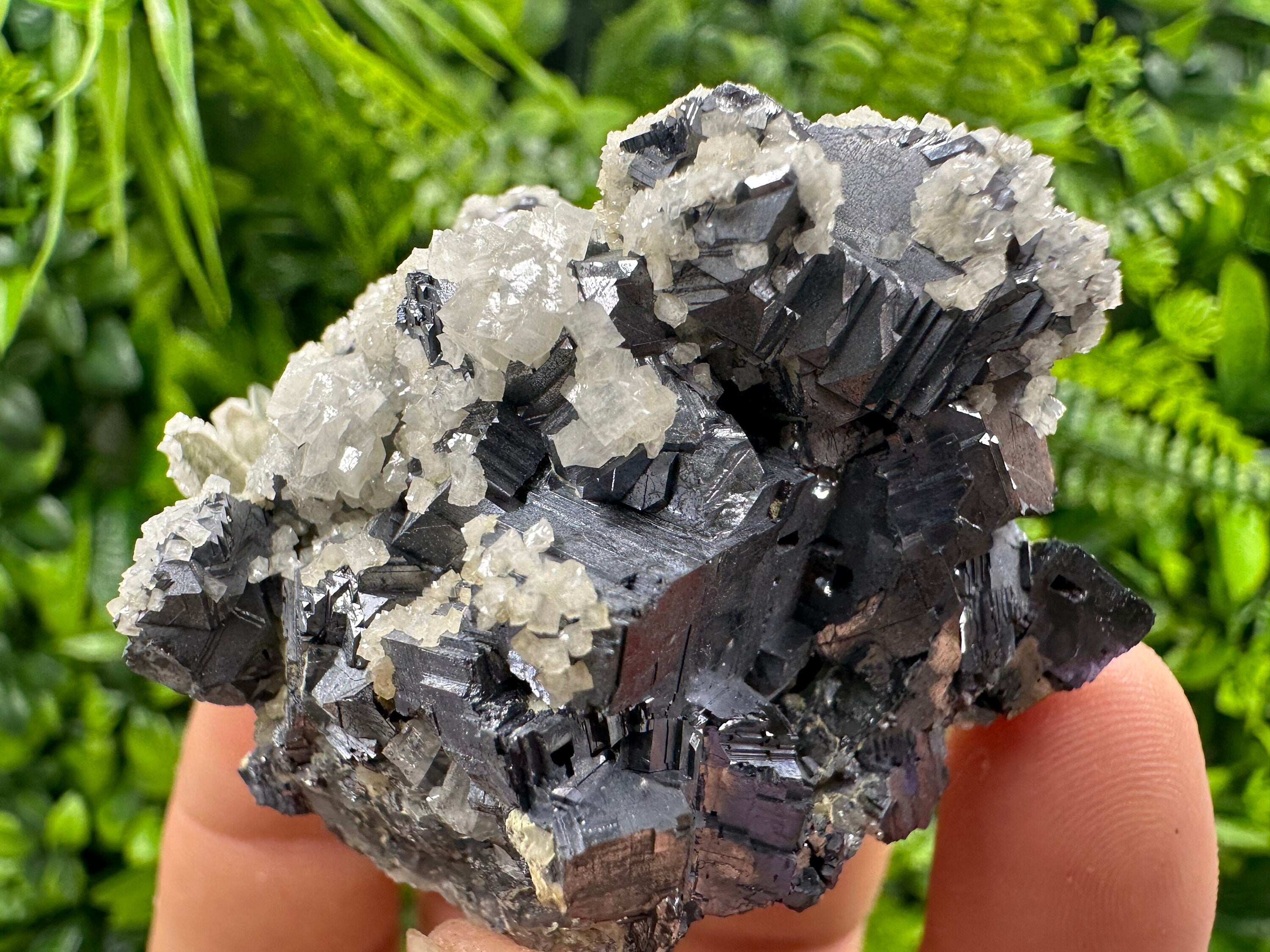 Rare Calcite on Galena: Borieva Mine, Madan, Bulgaria