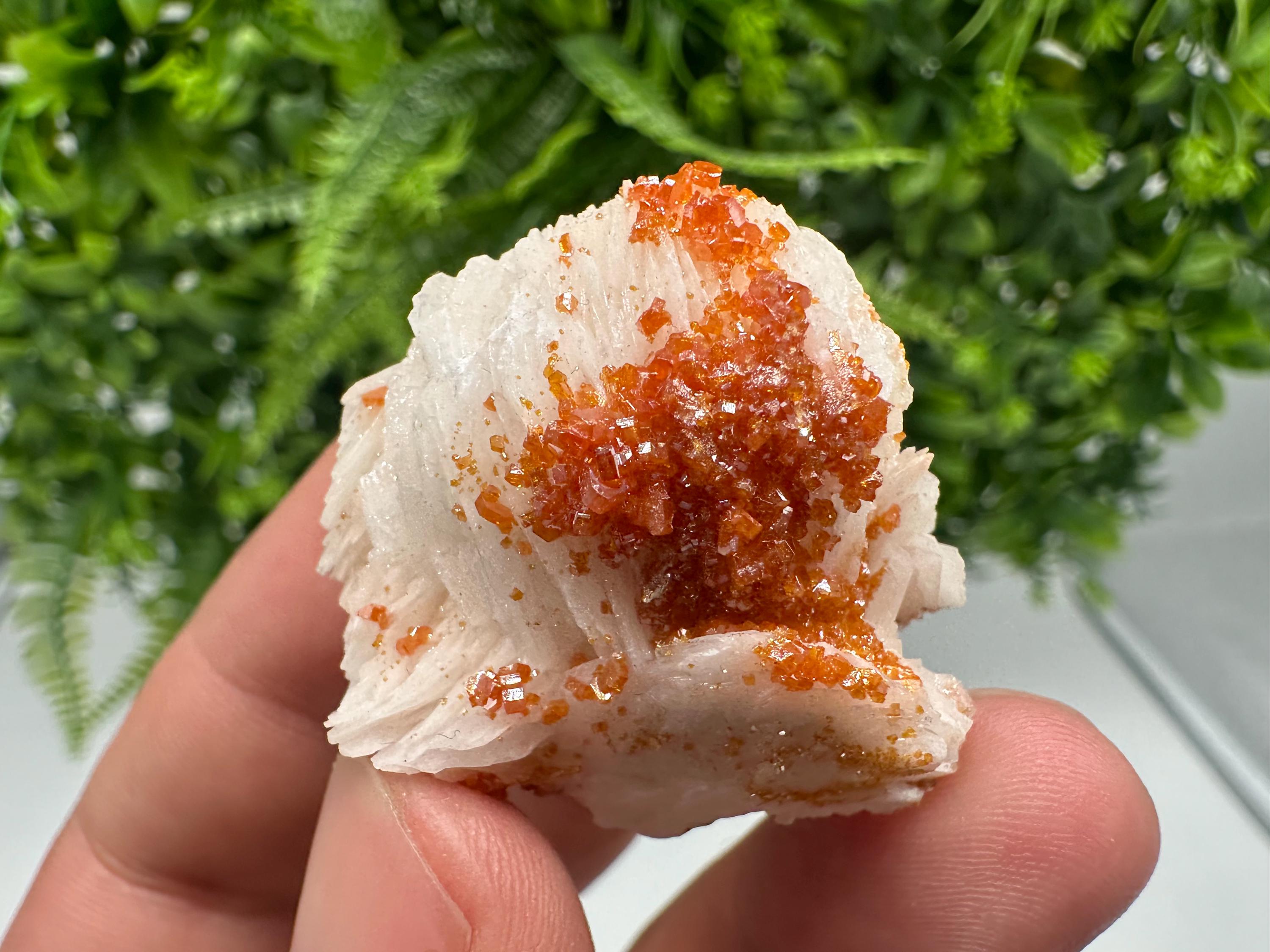 Red Vanadinite on Barite from Marocco,crystal minerals Speciment cluster Vanadinite crystal Vanadinite Geology Vanadinite cluster minerals