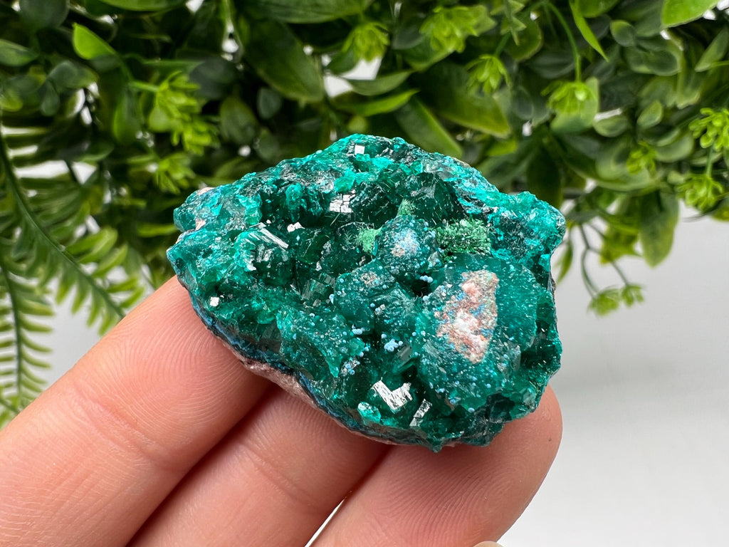 Stunning Green Dioptase from Sanda Hills,Mindouli,Pool Department,Mindouli District,Congo,green Dioptase,Dioptas Crystal,Dioptase collecting