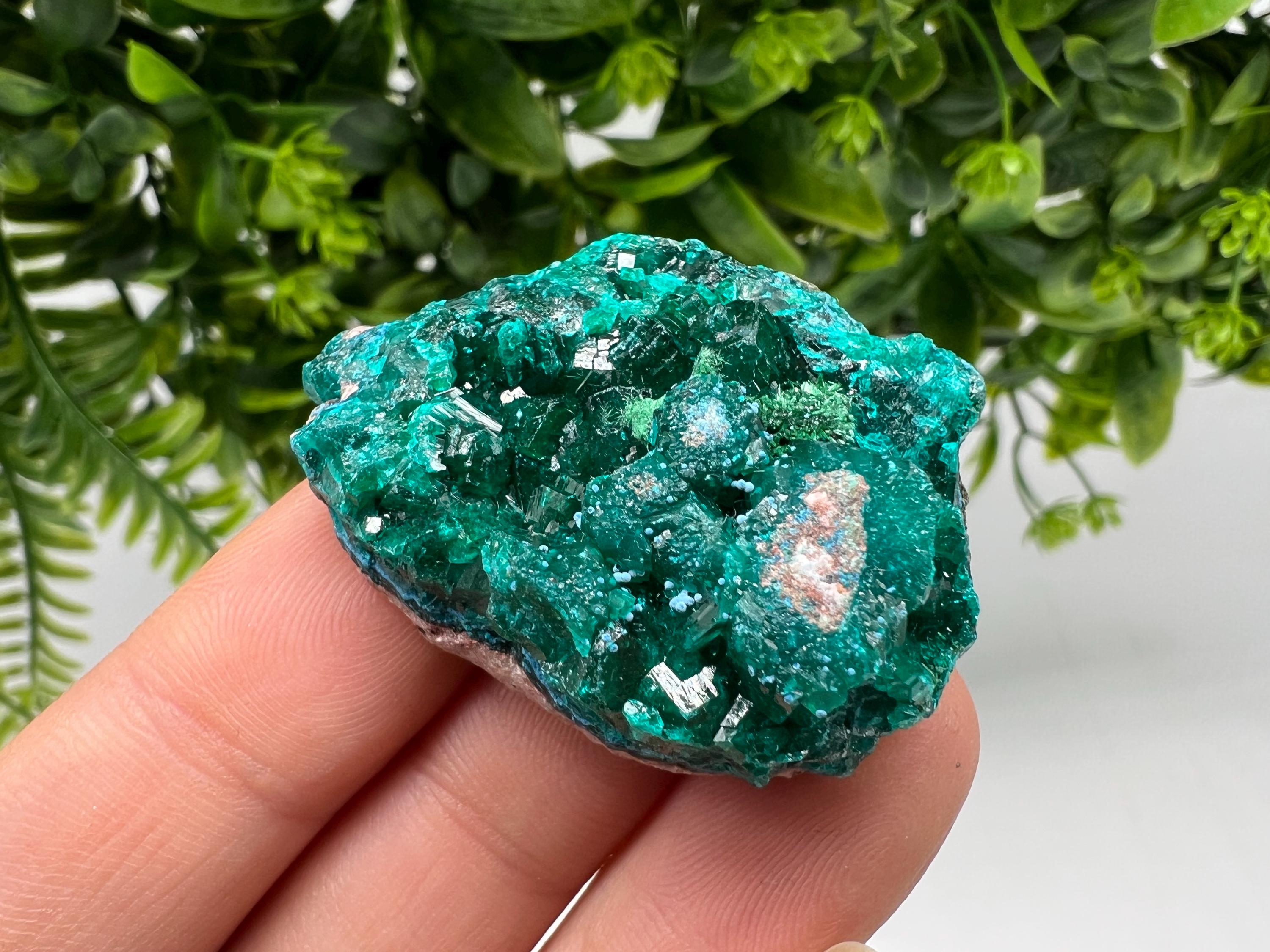 Stunning Green Dioptase from Sanda Hills,Mindouli,Pool Department,Mindouli District,Congo,green Dioptase,Dioptas Crystal,Dioptase collecting