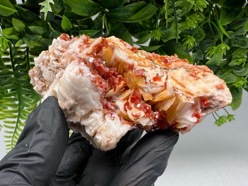 Red Vanadinite on Barite from Marocco,crystal minerals Speciment cluster Vanadinite crystal Vanadinite Geology Vanadinite cluster minerals
