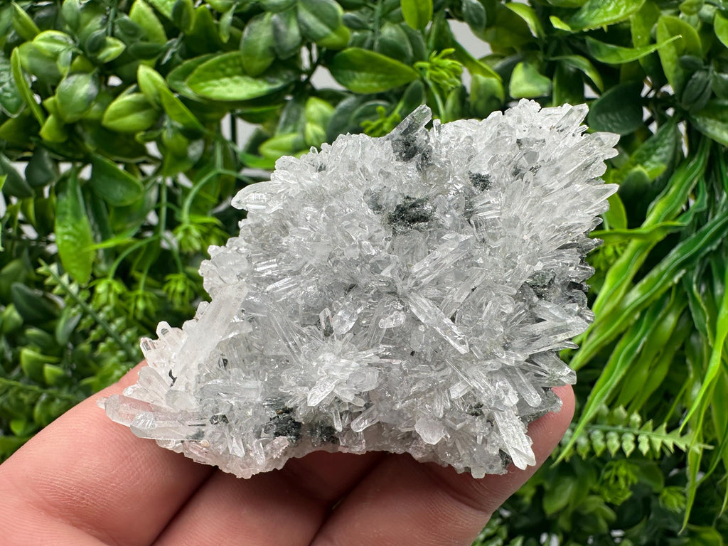 Transparent Quartz on Chlorite Matrix, Borieva Mine, Bulgaria