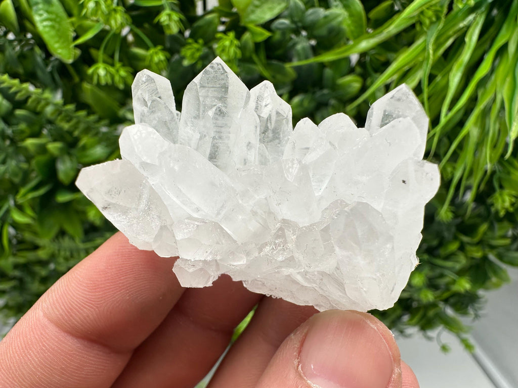 Transparent Quartz on Chlorite Matrix, Borieva Mine, Bulgaria