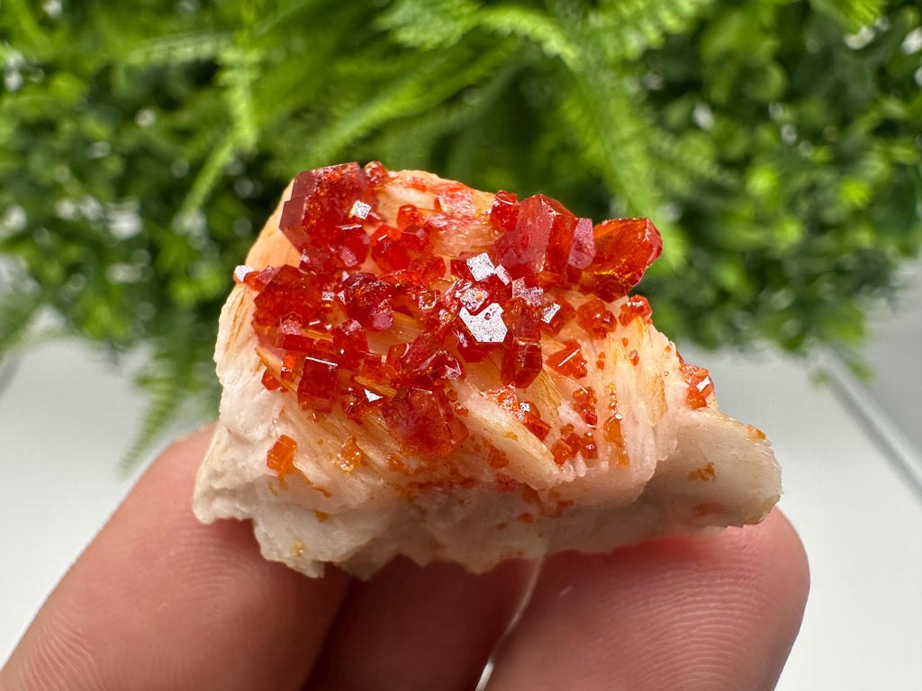 Red Vanadinite on Barite from Marocco,crystal minerals Speciment cluster Vanadinite crystal Vanadinite Geology Vanadinite cluster minerals