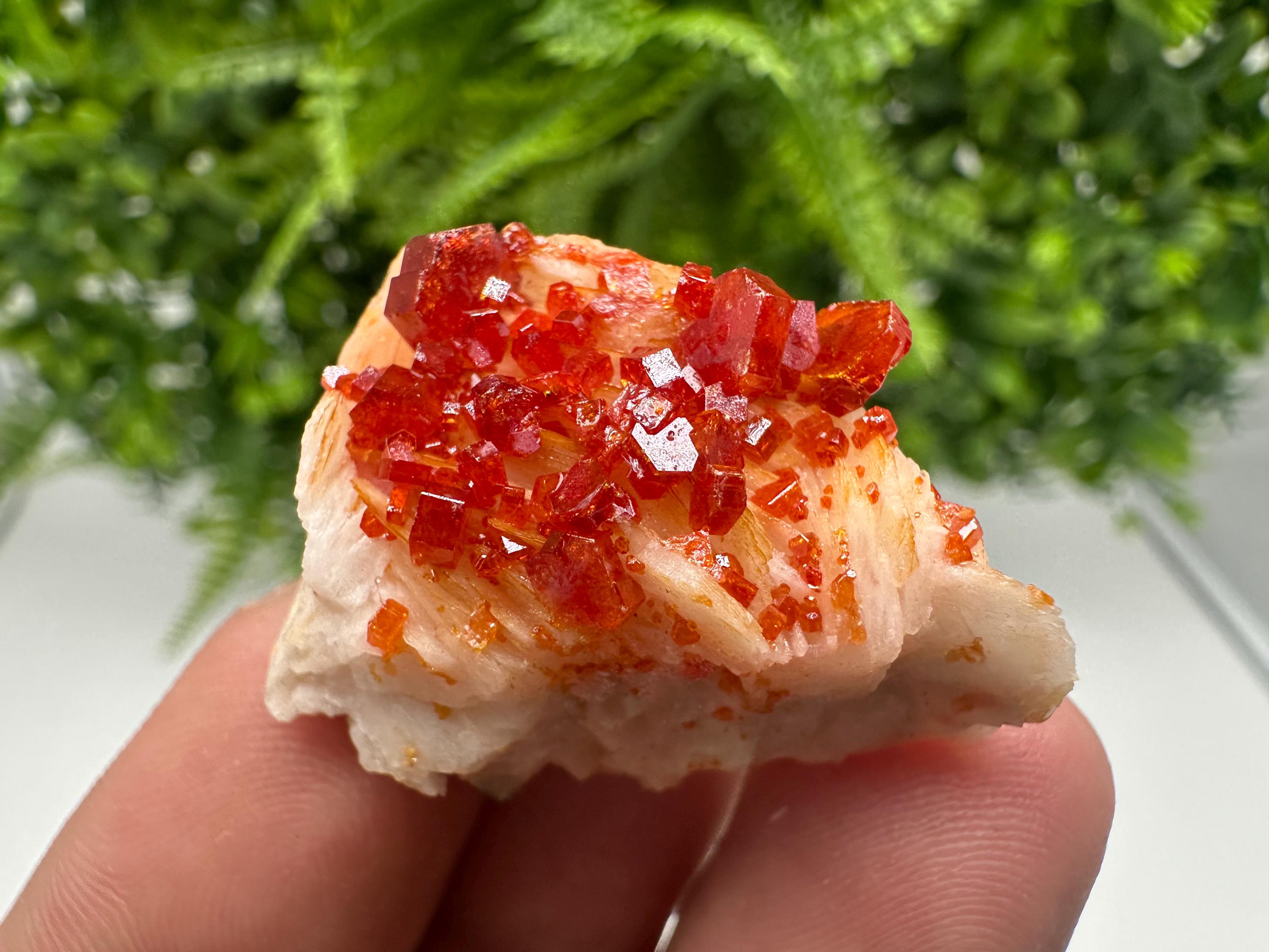Red Vanadinite on Barite from Marocco,crystal minerals Speciment cluster Vanadinite crystal Vanadinite Geology Vanadinite cluster minerals