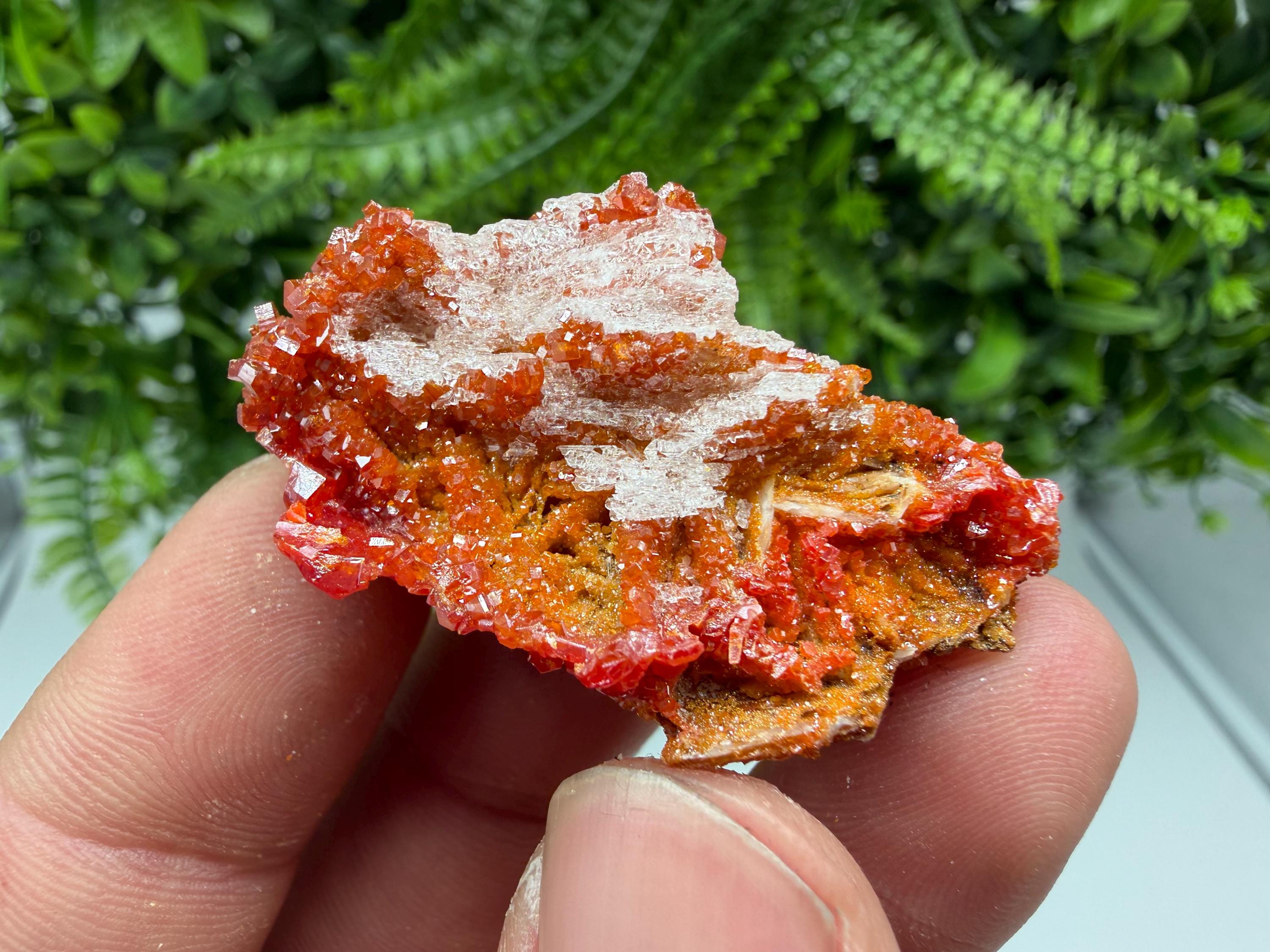 Red Vanadinite Crystal Cluster on Barite, Morocco Mineral Specimen
