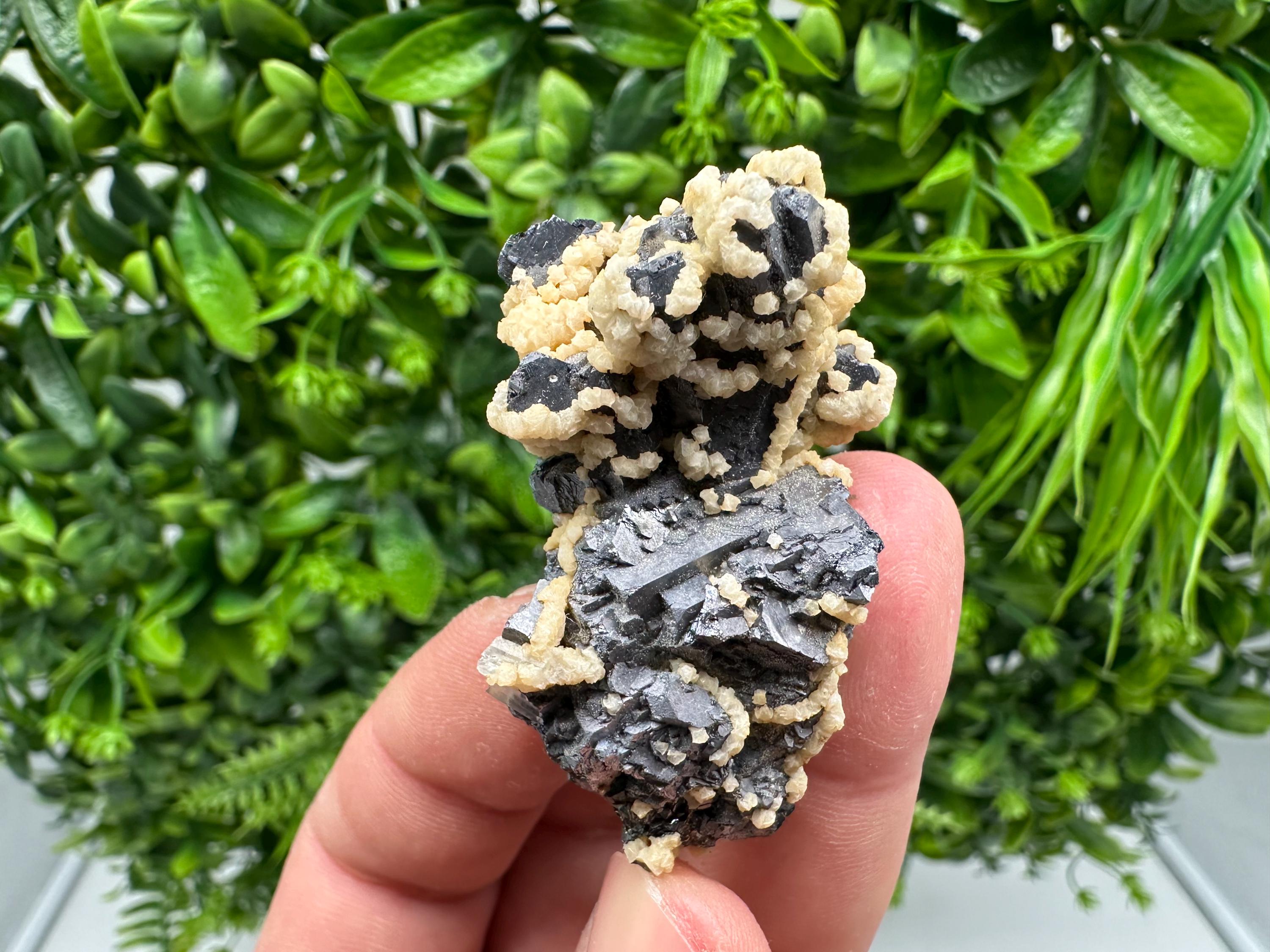 Skeletal Galena with Siderite and Sphalerite: Krushev dol Mine, Bulgaria