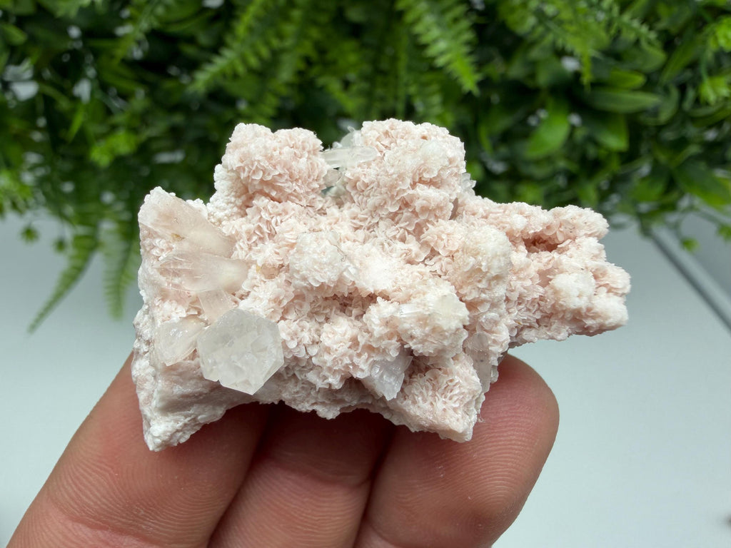 Stunning Quartz whit Chlorite on Rhodochrosite covered whit siderite natural minerals souvenir crystal home decor stone 9th September mine