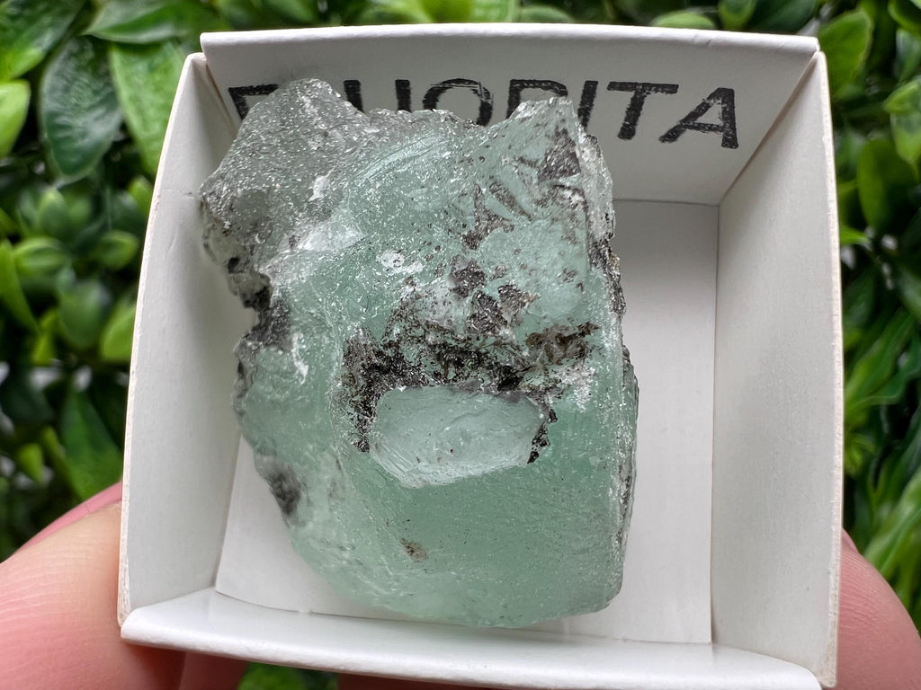Rare Rainbow Fluorite from Mexico: Raw Crystal Cluster, Meditation Stone
