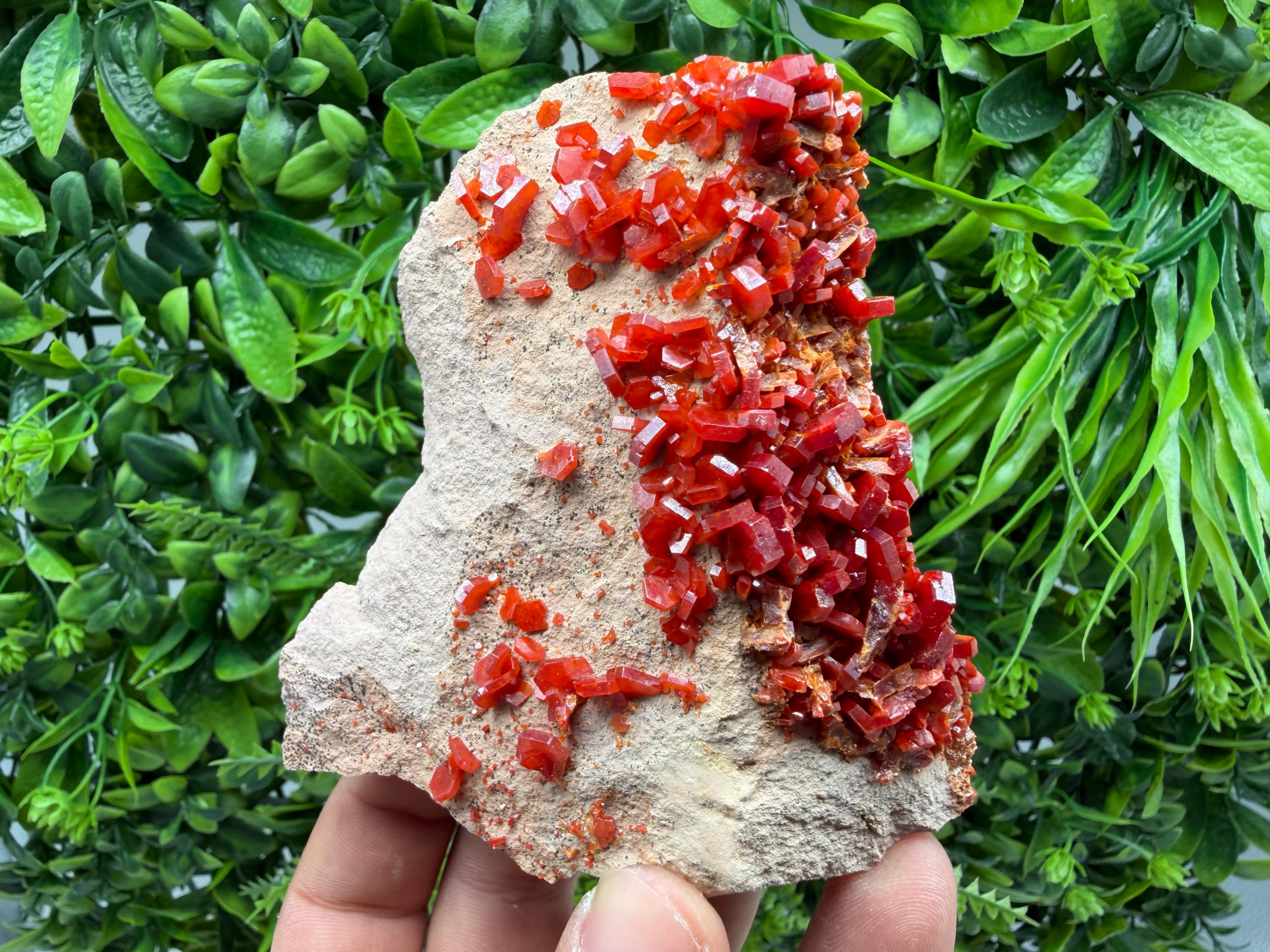Red Vanadinite on Matrix from Marocco,crystal minerals Speciment cluster Vanadinite crystal Vanadinite Geology Vanadinite cluster minerals