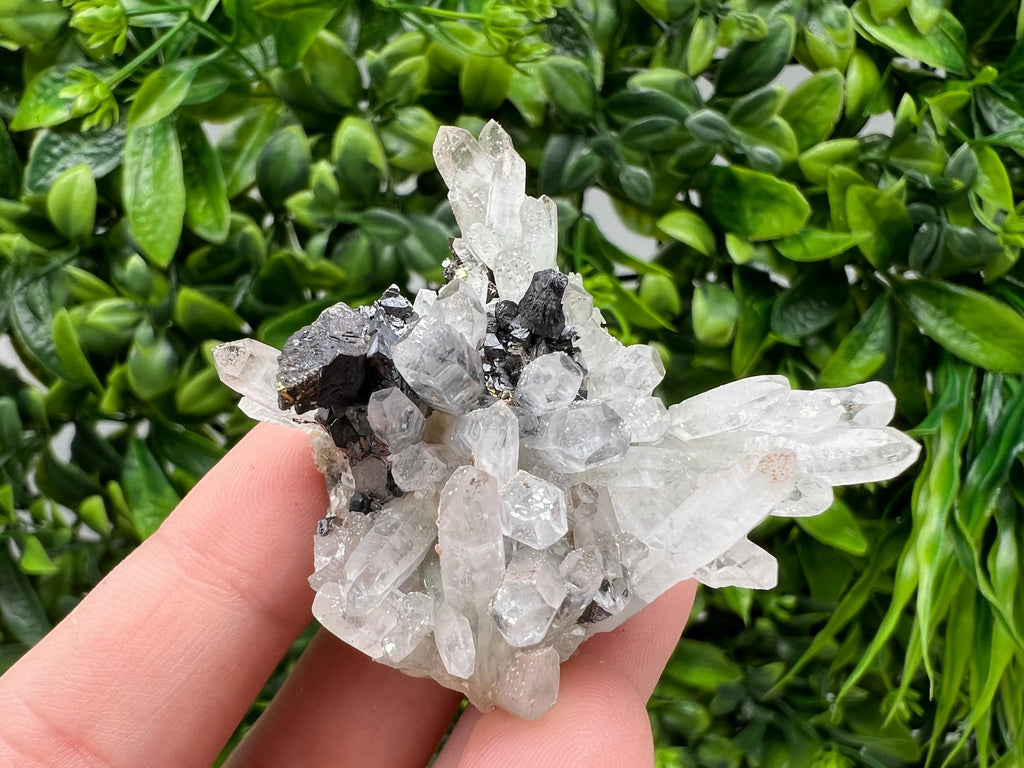 Transparent Quartz,Chlorite,Chalcopyrite Matrix,From Borieva mine,Madan,Bulgaria,Quartz,Quartz crystal,mineral specimen,collection quartz