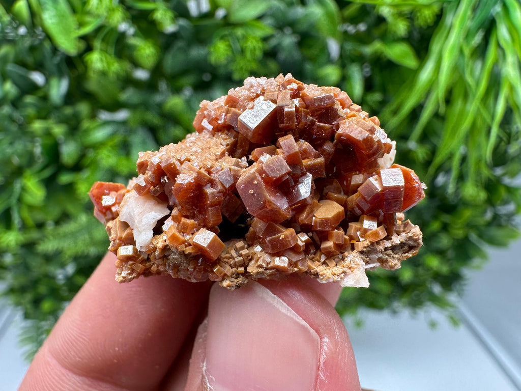 Red Vanadinite on Barite from Marocco,crystal minerals Speciment cluster Vanadinite crystal Vanadinite Geology Vanadinite cluster minerals