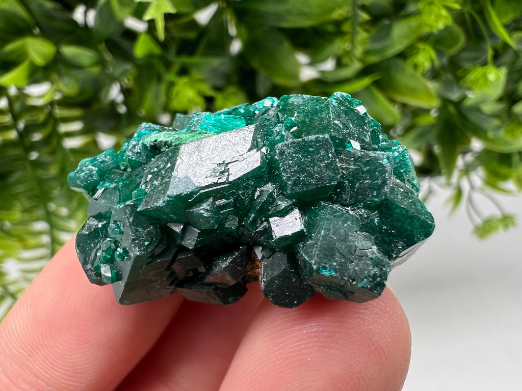 Green Dioptase Crystal Cluster, Sanda Hills Congo